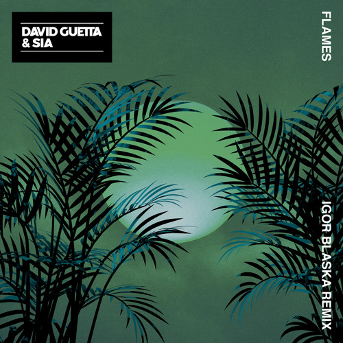 David Guetta & Sia - Flames (Igor Blaska Remix)