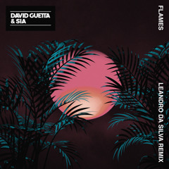 David Guetta & Sia - Flames (Leandro Da Silva Remix)