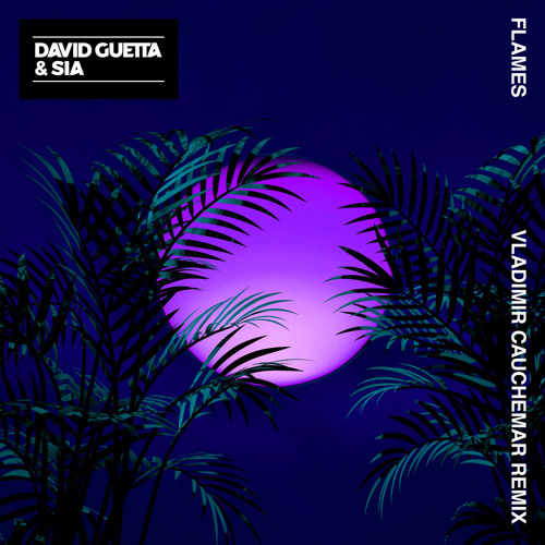 David Guetta & Sia - Flames (Vladimir Cauchemar Remix)