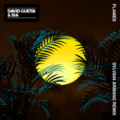David Guetta & Sia - Flames (Sylvain Armand Remix)