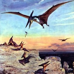 Pterodactylus