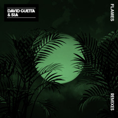 Flames (remixes)