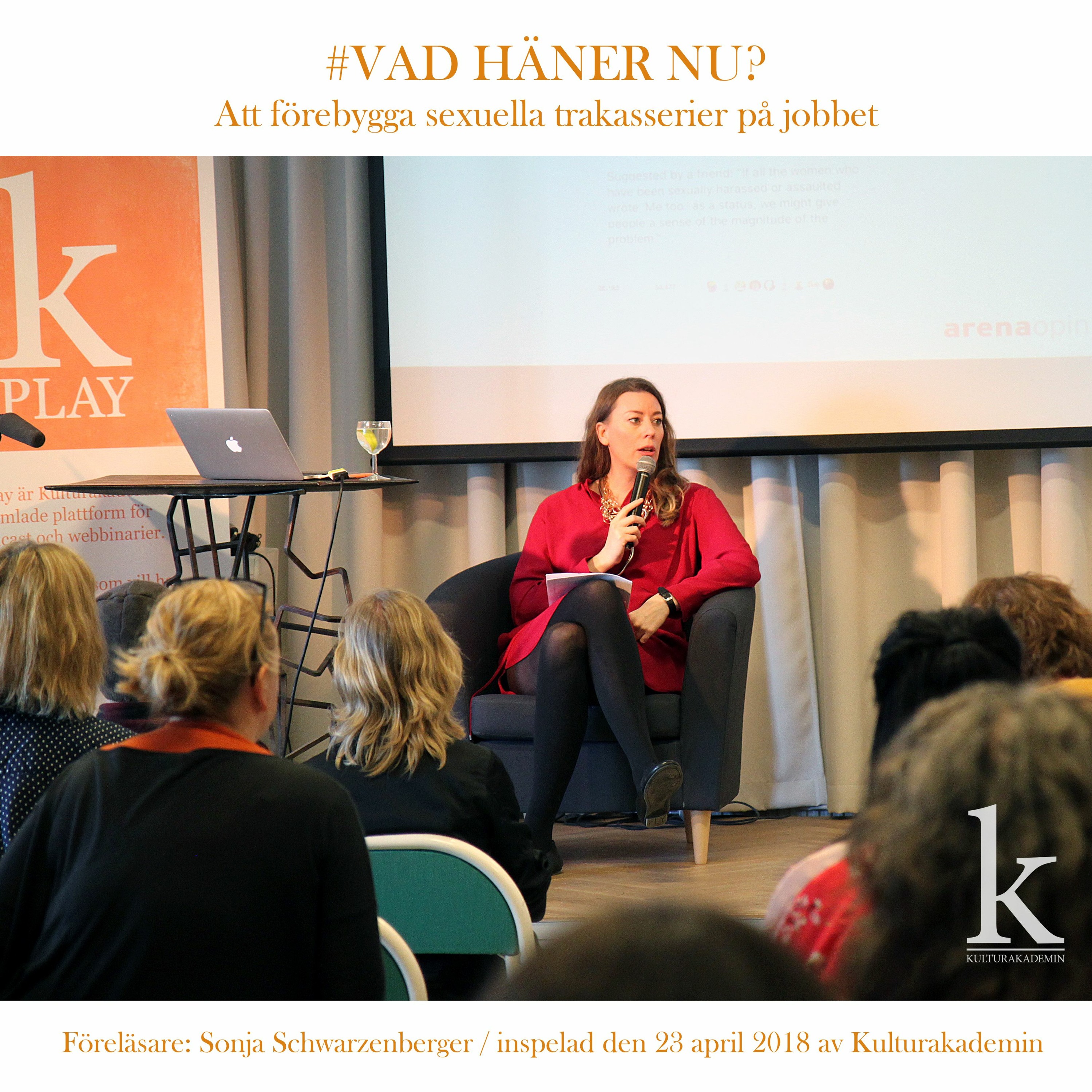#34 #Vad Händer Nu – Att Förebygga Sexuella Trakasserier På Jobbet Med Sonja Schwarzenberger episode artwork