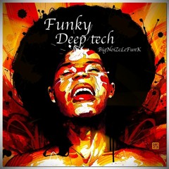 Funky Deep Tech house  - BNLF