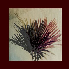 Birthday set at Leveldva (07.04.18)