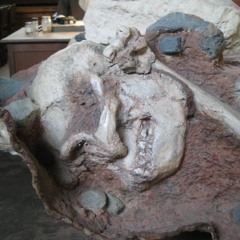 Where Little Foot Sleeps (2015)