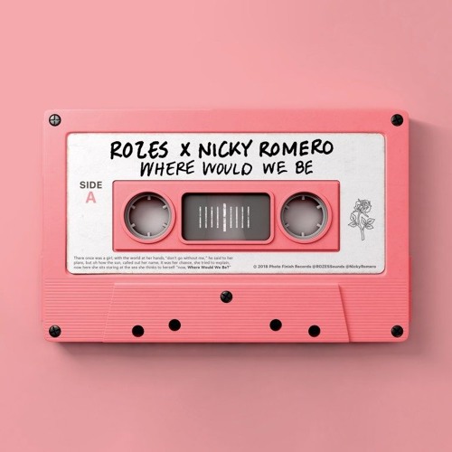 ROZES X Nicky Romero - Where Would We Be ( Jeongwoo Remix )