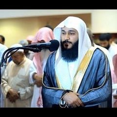 فَأَنذَرْتُكُمْ نَارًا تَلَظَّىٰ ( الليل ) القارئ : عبد الرحمن بن جمال العوسى