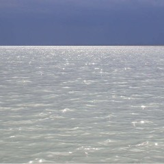 GENDER BENDER (Angel Nemo And Sad Parents)