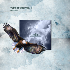 TYPE OF VIBES VOL.1  -LE RVIDER
