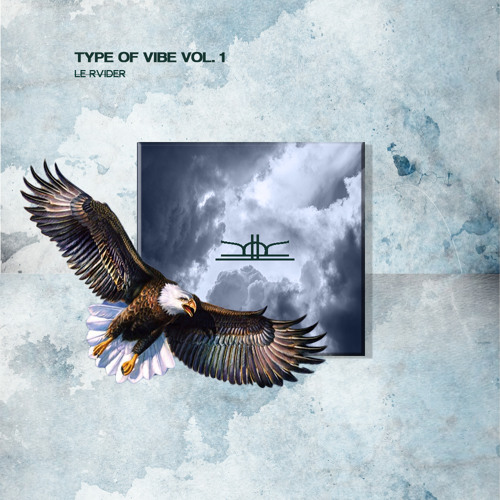 TYPE OF VIBES VOL.1  -LE RVIDER