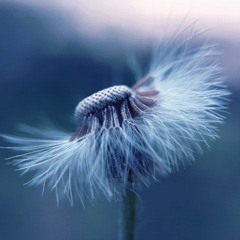Creating With The Ebb & Flow Of The Universe