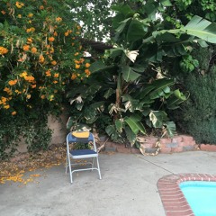 Trust Yourself  - [prod. by whitenoise1000]