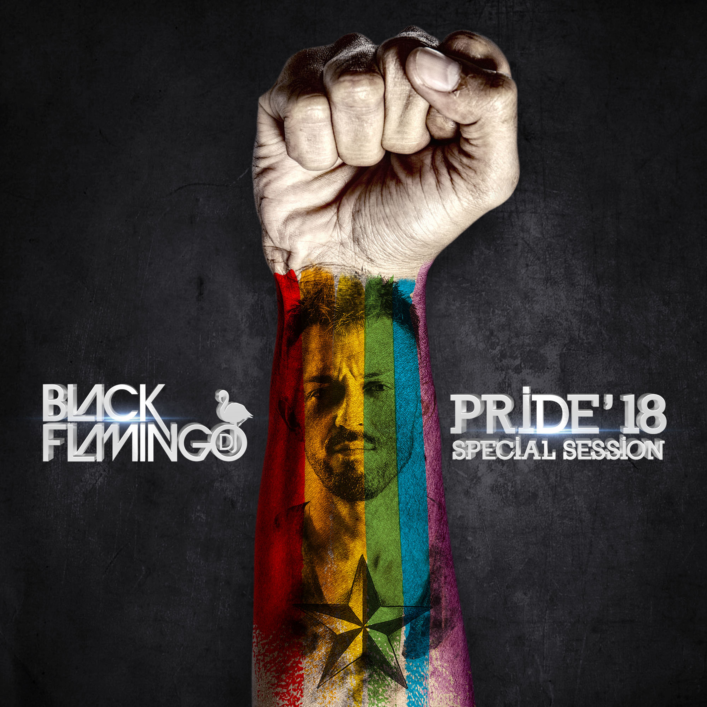 Portada de Black Flamingo Dj