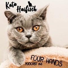 KataHaifisch Podcast 043 - Four Hands