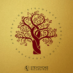 Miguel Payda - Now Is The Moment (Original Mix) | Steyoyoke