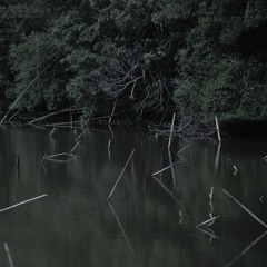 Green Horizon - With The Waves