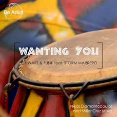 Schwarz & Funk - Wanting You Feat. Storm Marrero (Nikos Diamantopoulos Remix) SC Preview