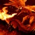 Artwork for Roar Of The Jungle Dragon (Ingame Version)