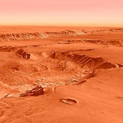 Systems of Wonder - Martian Mushroom Odyssey