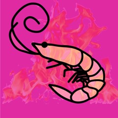 Through The Shrimp And The Flamingo