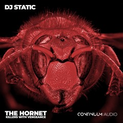 The Hornets (Killers With Vengeance) - DJ Static - (No Fuxx Remix)