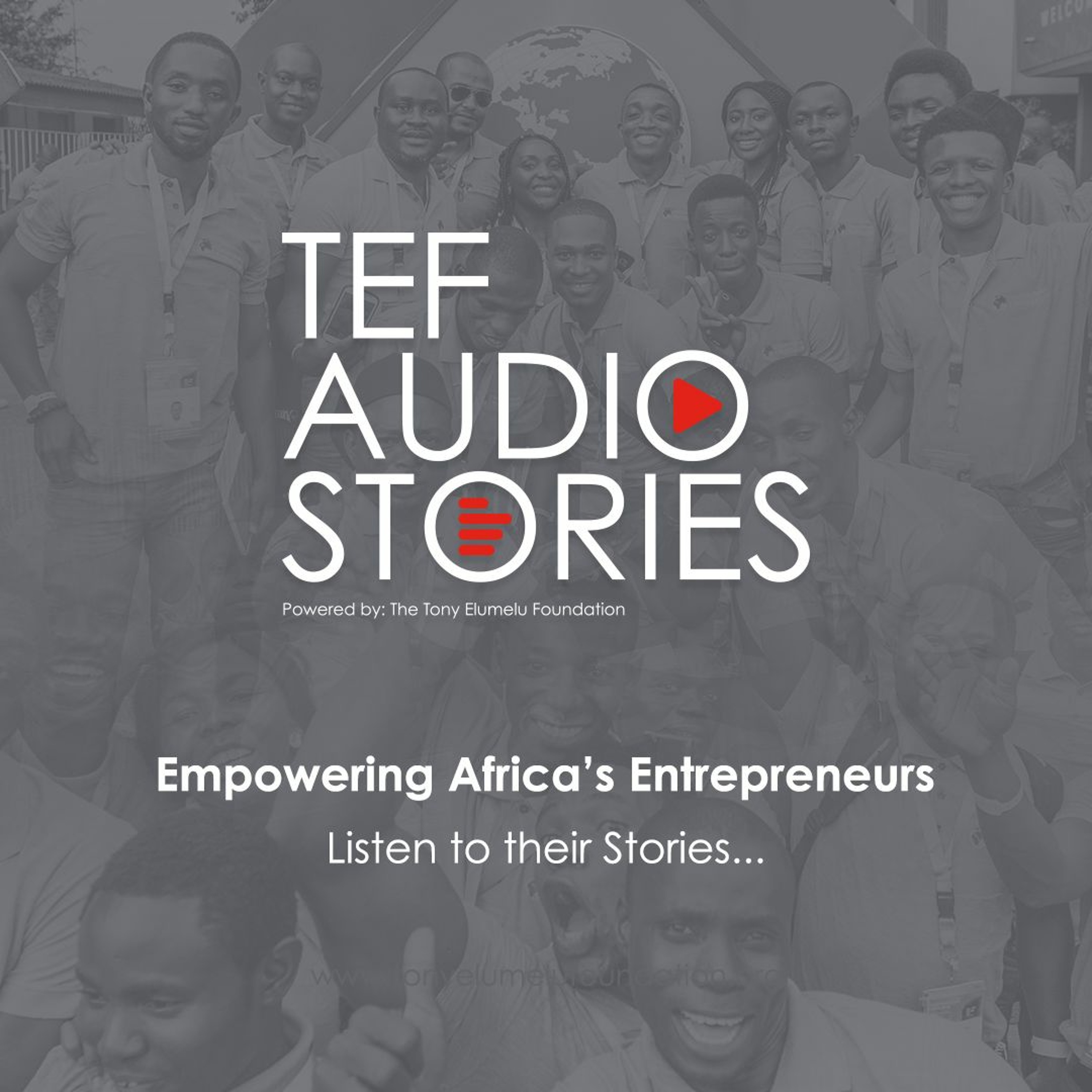 The Tony Elumelu Foundation