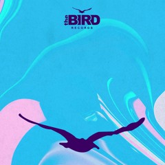 NINETEEN SINES - INTERGALACID [OUT NOW] TheBIRD Rec.