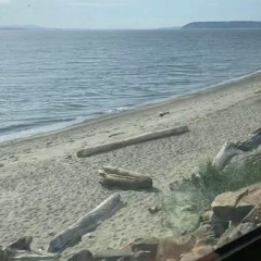 train to whidbey island