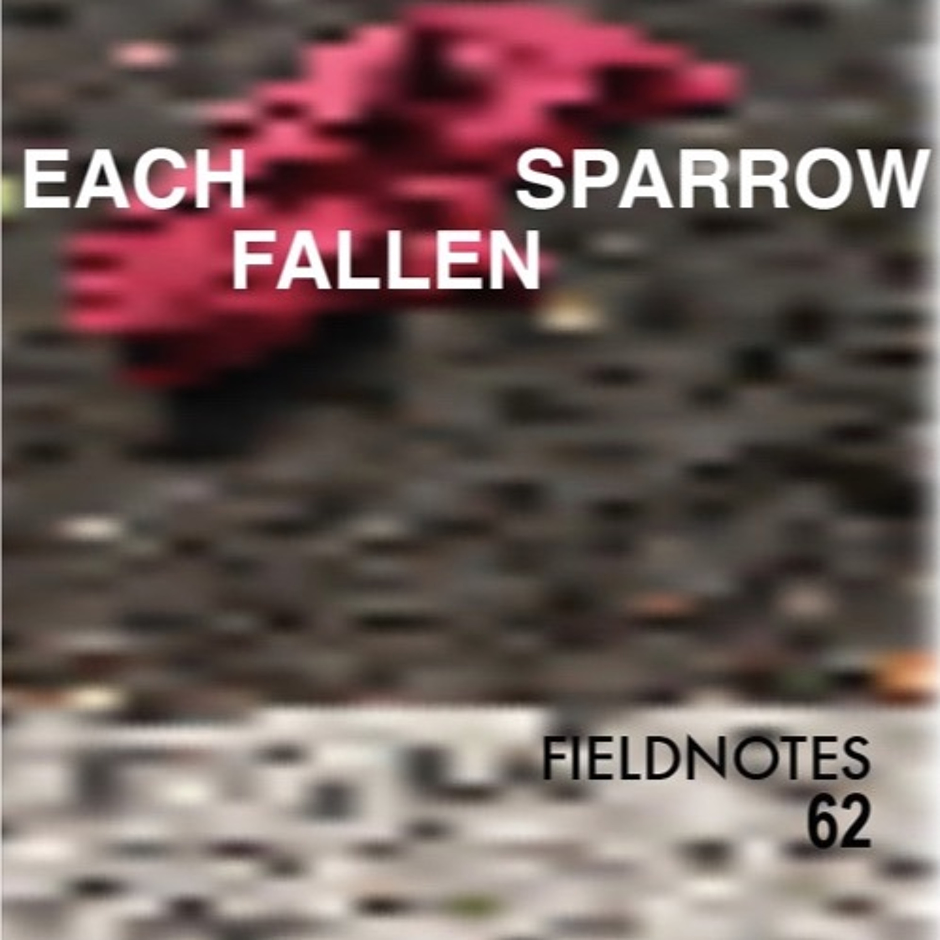 fieldnotes62