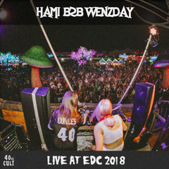 Wenzday B2B HAMi @ EDC 2018 Wasted Art Car