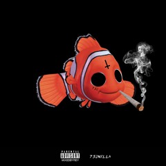 NEMO