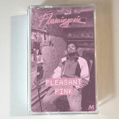 Pleasant Pink (Magical Mystery Hip-Hop Mix)