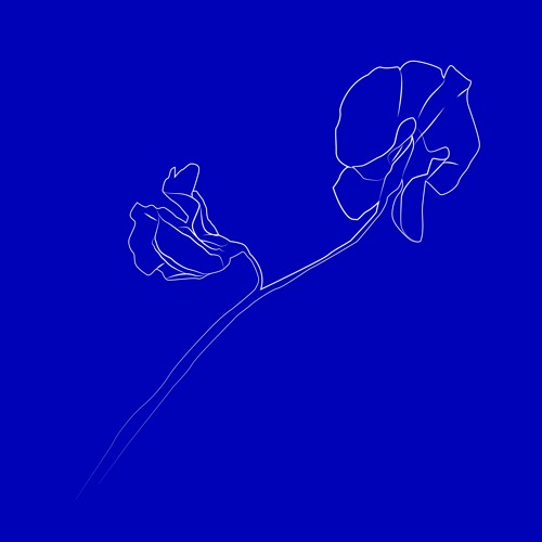 Untitled Playlist