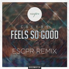 Calybr - Feels So Good (ESCPR Remix) || Overwatch Remix Contest