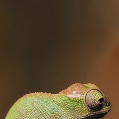 Free Post Malone Type Beat - Maintain