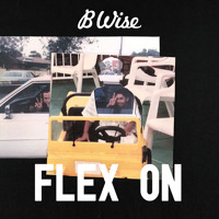 B Wise - Flex On