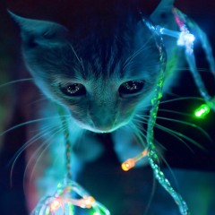 Meow
