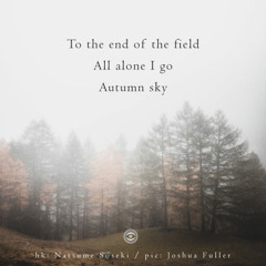 To the end of the field (Naviarhaiku 230)