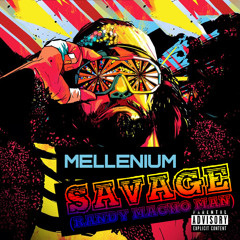 Randy macho man Savage
