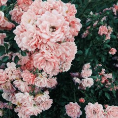 سورة الكهف <3