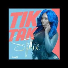 TIK TAK Spice