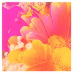 Good Morning, Good Mornng