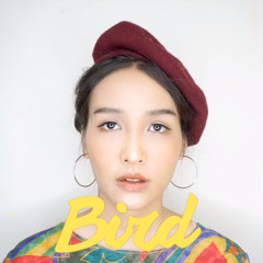 Bowkly