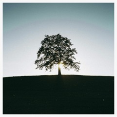 Unforseen Consequences