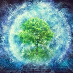 Guided Meditation | Reprogram your Mind and Habits | Tree of Life & Space Focus