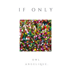 Owl, ANGELIQUE. - If Only