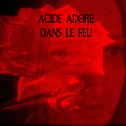 Dans Le Feu