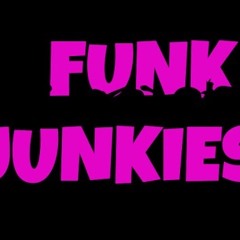 Norman James - Funk Junkies 2