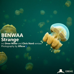 [GIB042] Benwaa - Develop (Chris Nord Remix)